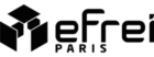 Logo-Efrei-Paris-Cube-aplat-plein-noir@2x